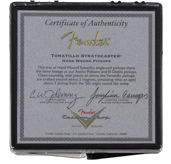 fender_custom_shop_tomatillo_p