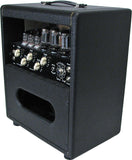 Swart Atomic Space Tone AST Amp in Dark Tweed