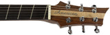 American Exotic Guitars DC-Multi, Flamed Redwood and Walnut - Humbucker Music