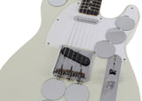 Fender Custom Shop Jimmy Page Dragon / Mirror Masterbuilt Telecaster Set